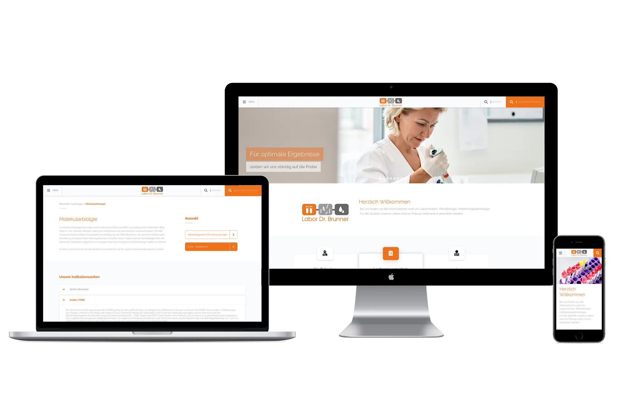 Brunner_Weblayout_Mockup.jpg