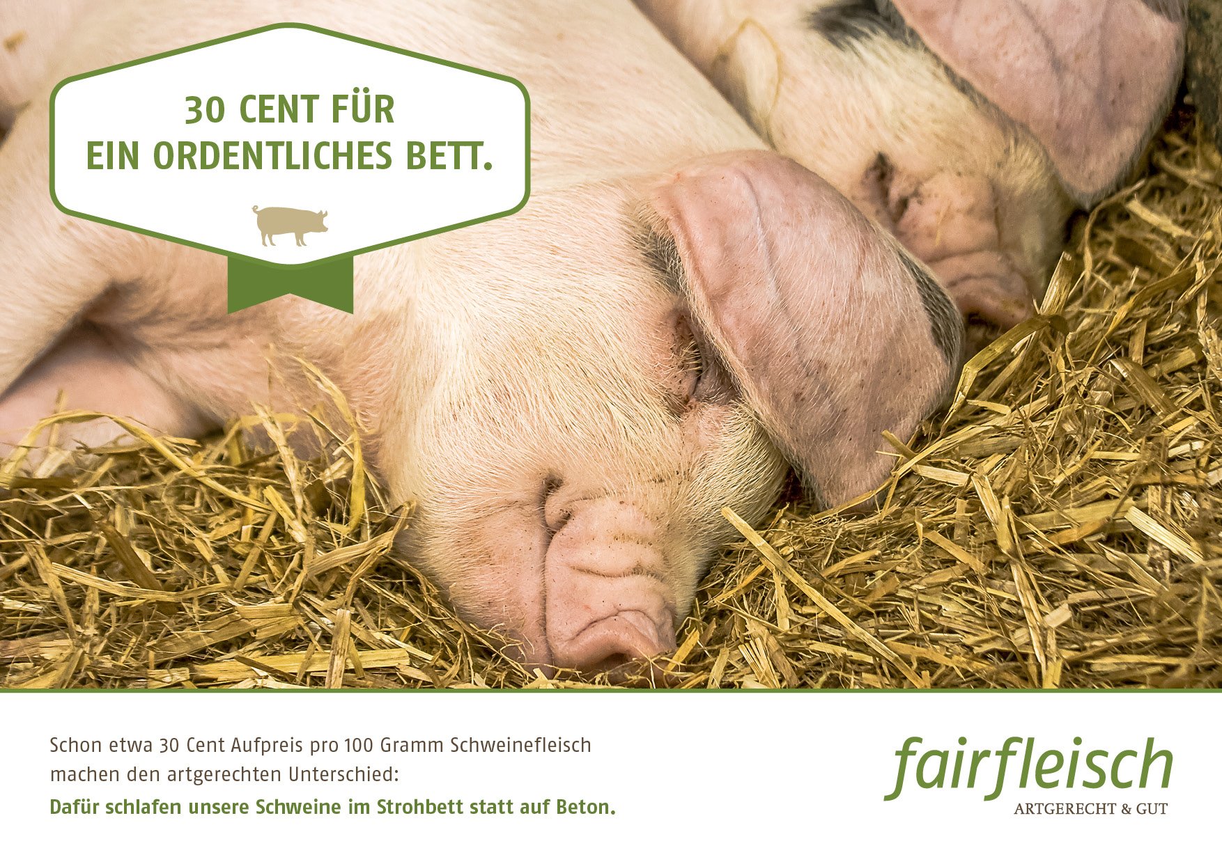 FAI_15_0370_30_Ct_Kampagne_01_03