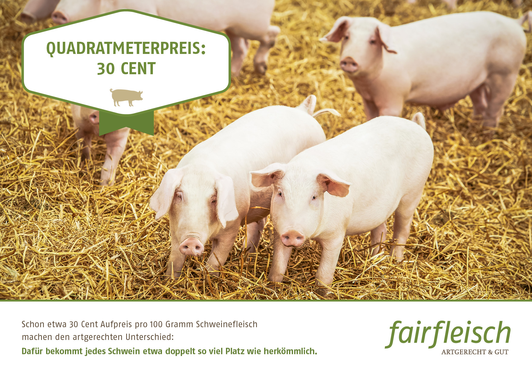 FAI_15_0370_30_Ct_Kampagne_01_04