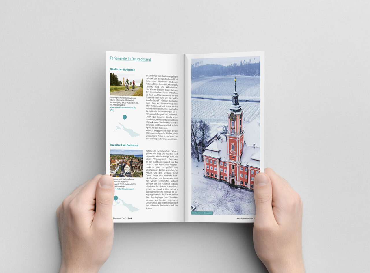 Dl,Bi-fold,Brochure,Mock-up,-,Male,Hands,Holding,A,Blank