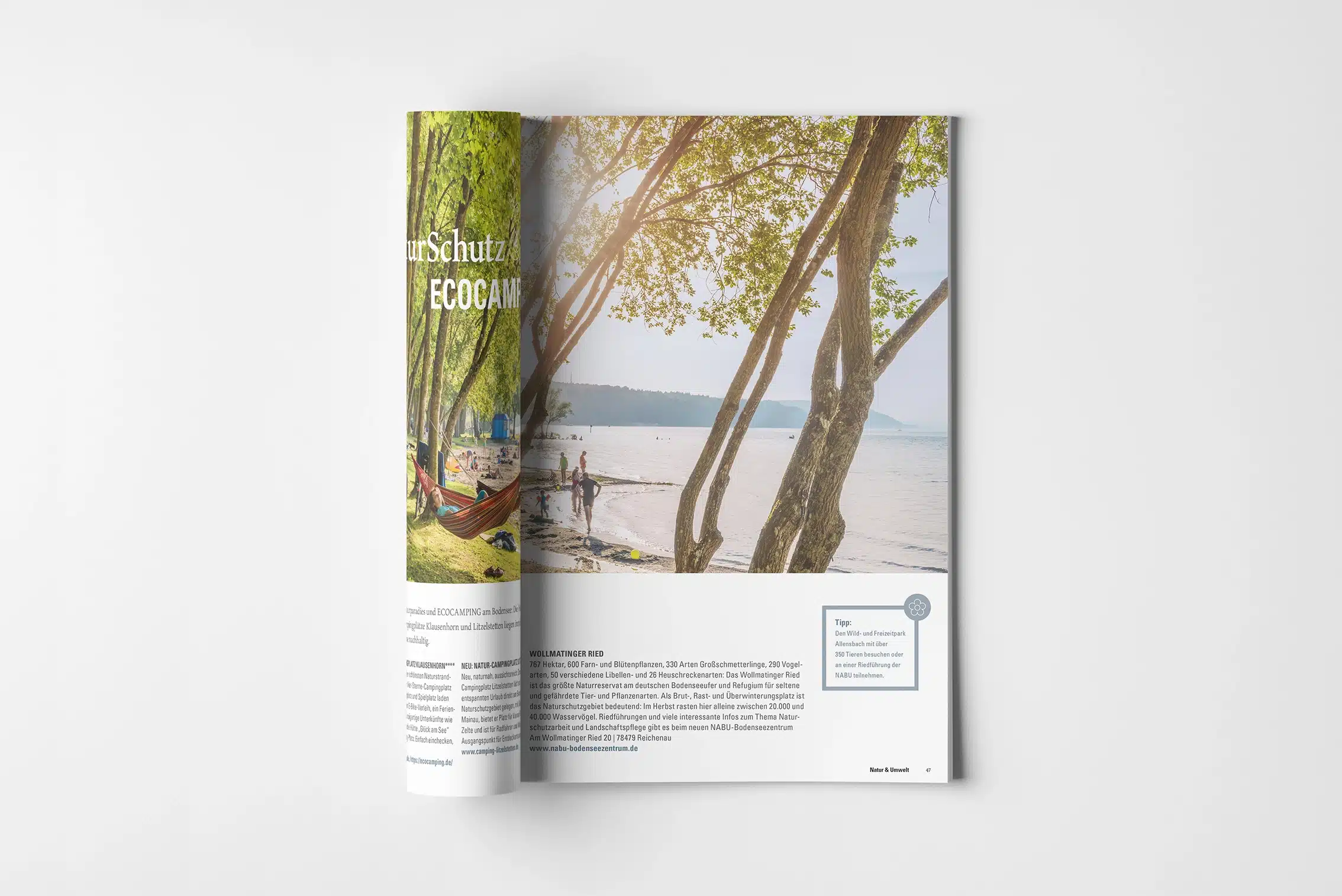 MTK_Konstanz_Gaestemagazin_2021_5.jpg