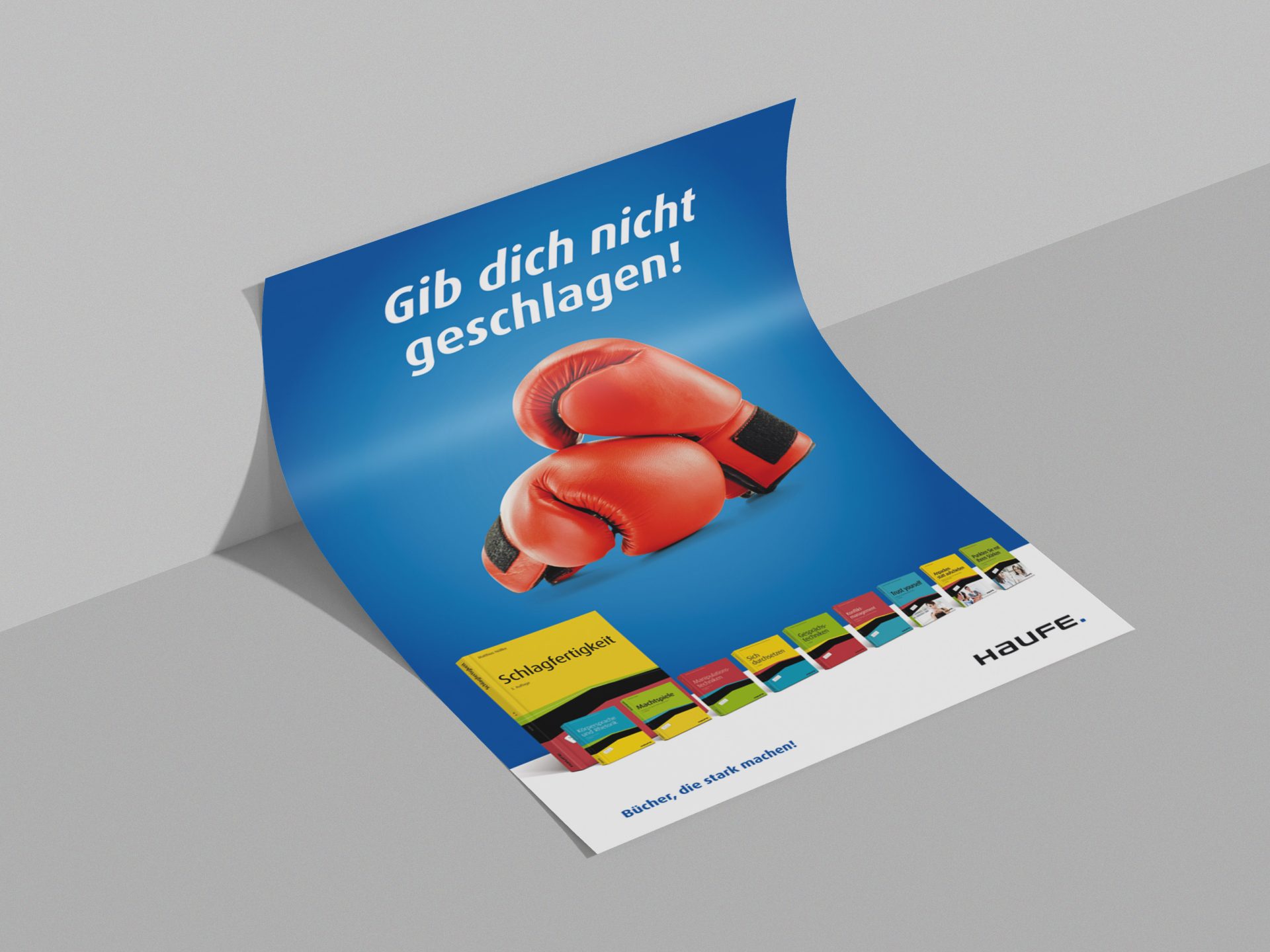 Haufe Poster Boxhandschuhe Mockup