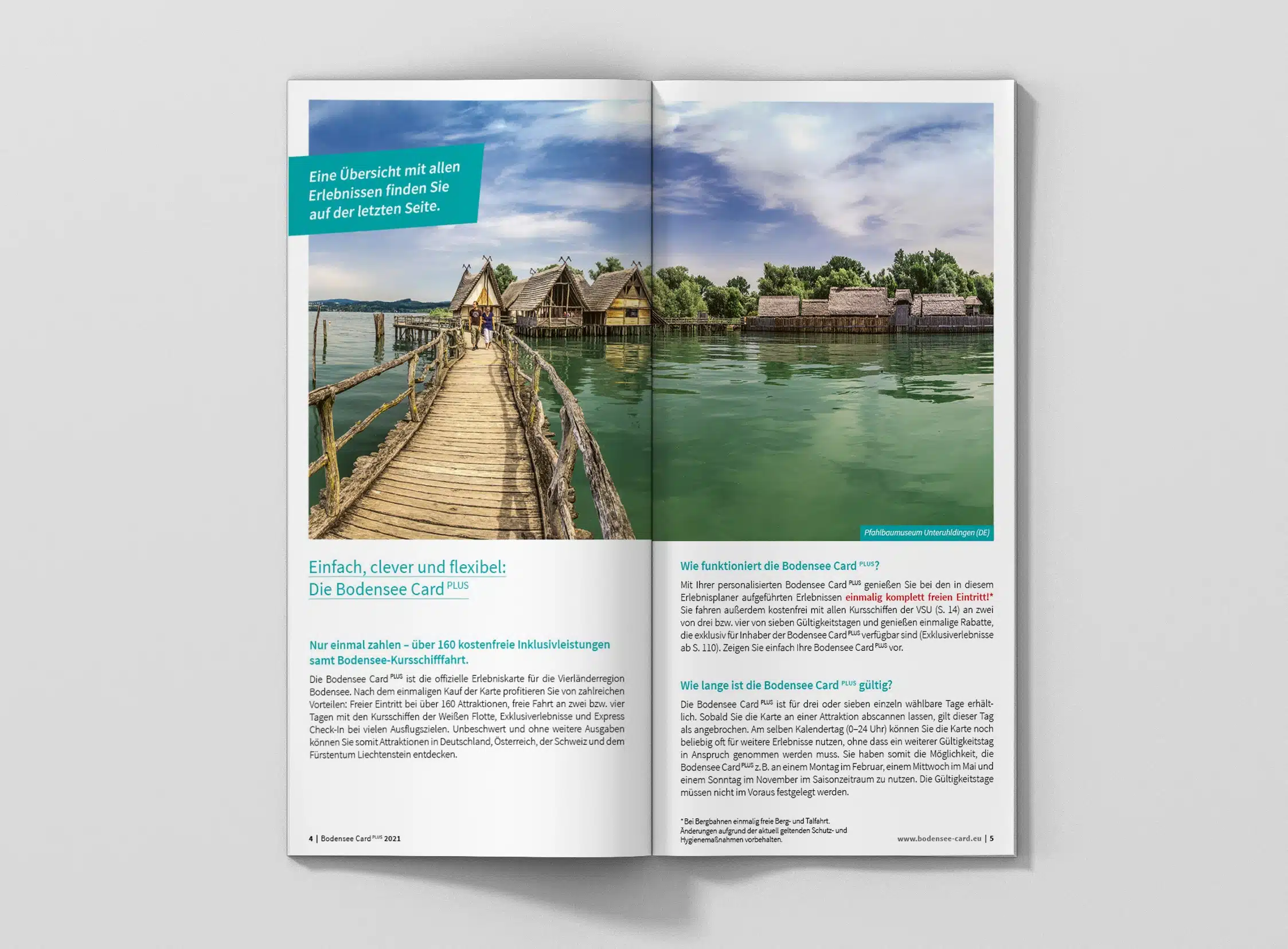 brochure_magazine_mockup_dl_top_2.jpg