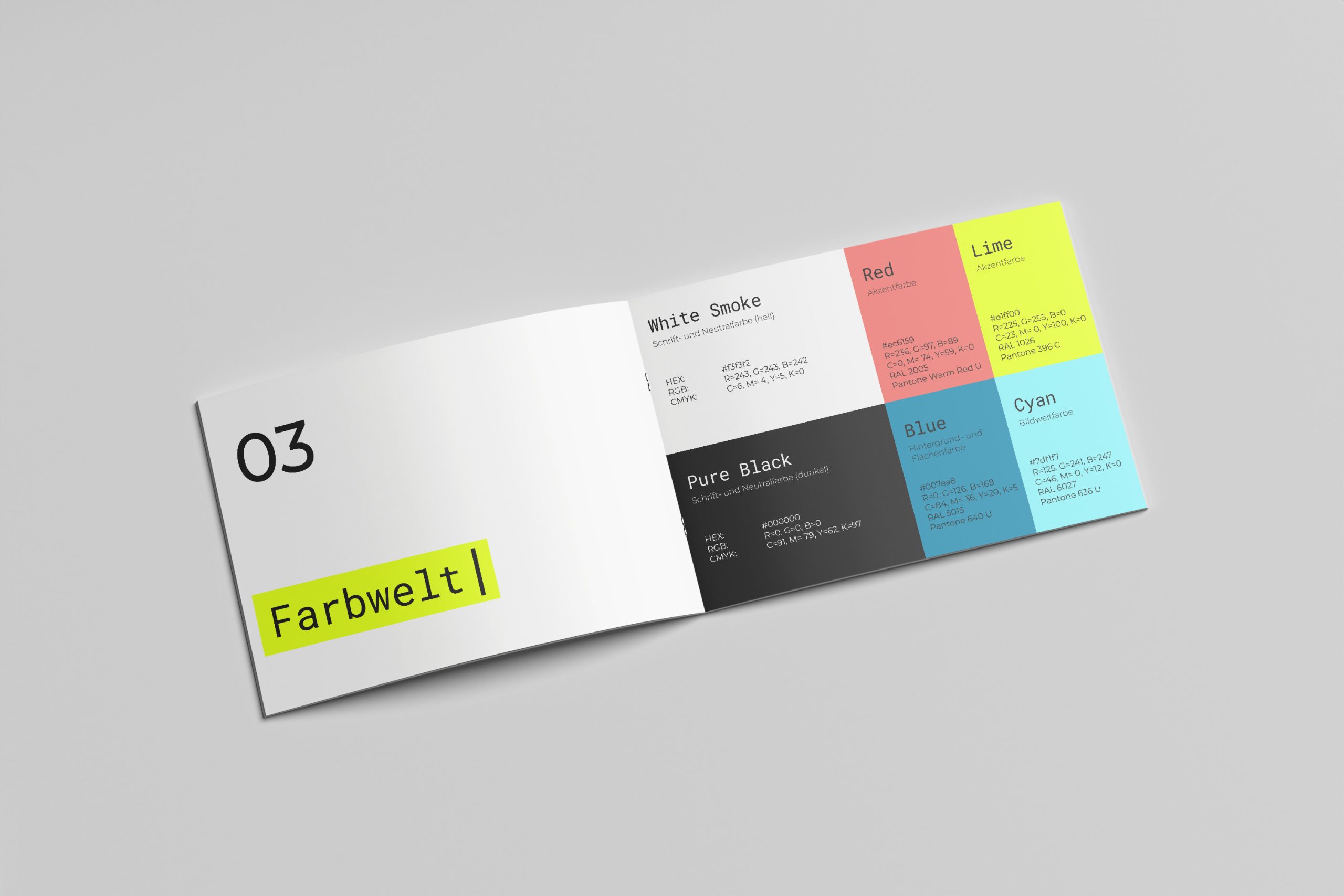 cf_brandbook_mockup_02
